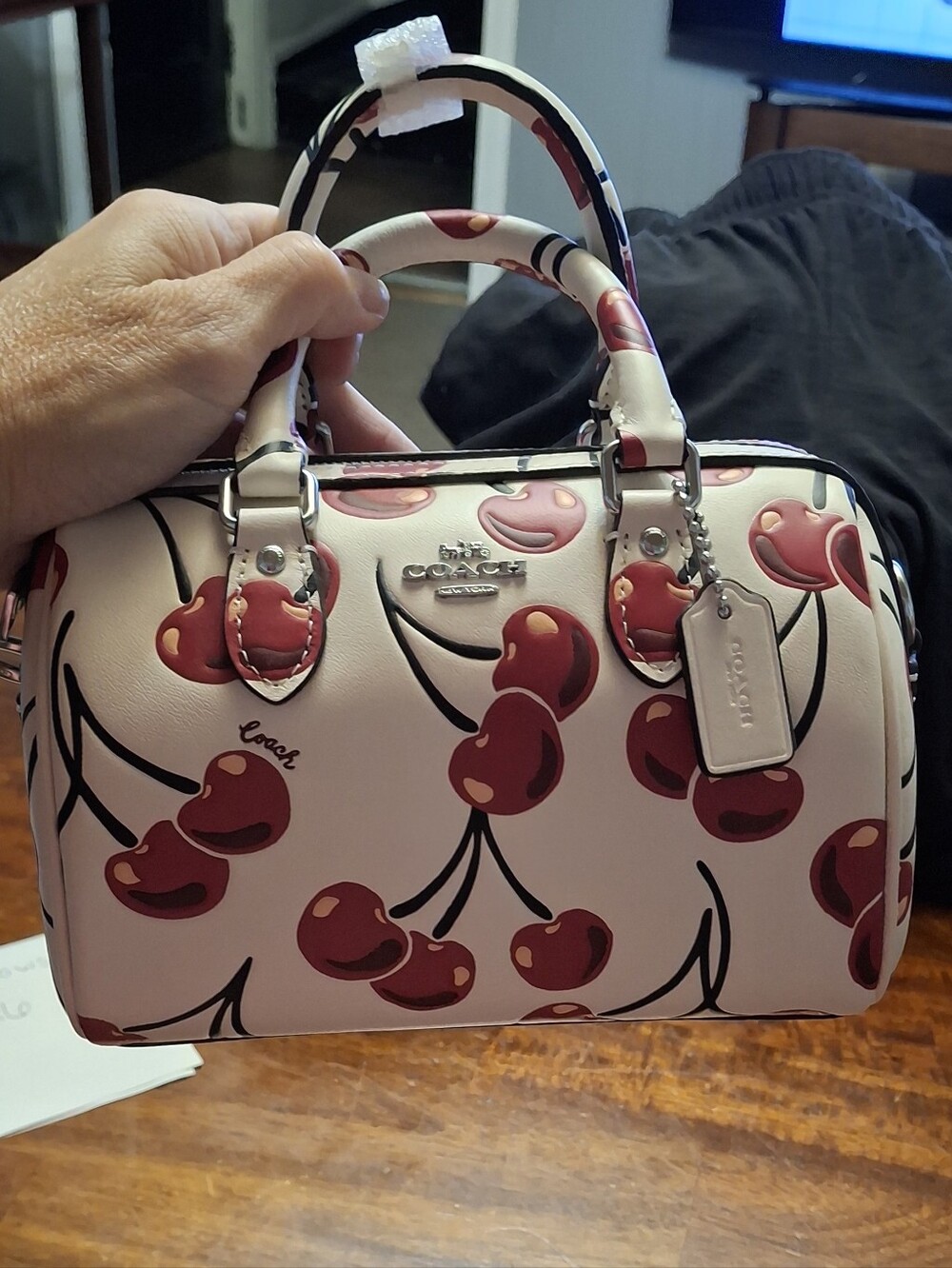Coach Cherry-Print Mini Satchel & Sunglass Case